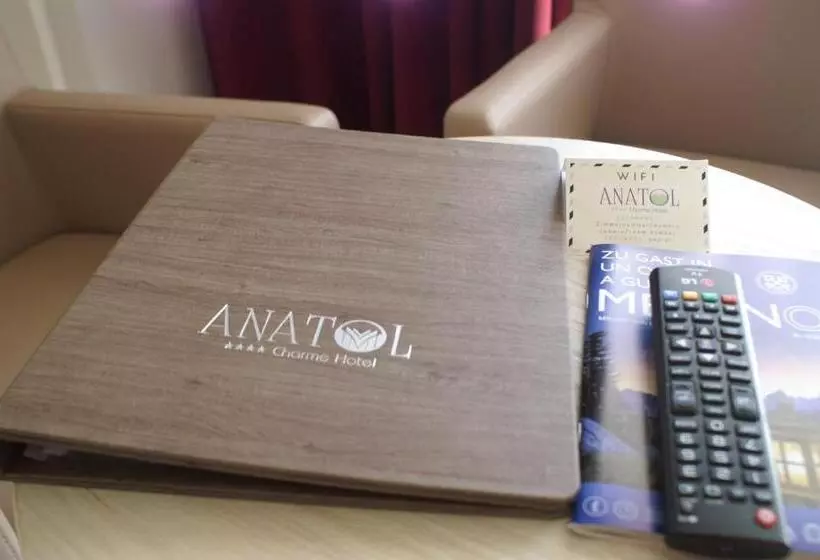 スタンダードルーム, Anatol