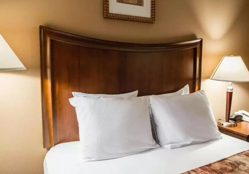 スタンダードトリプルルーム, Best Western Grand Hotel Guinigi