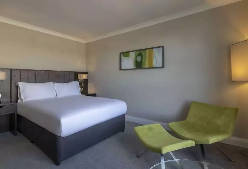 Camera Superiore, Hilton Dublin