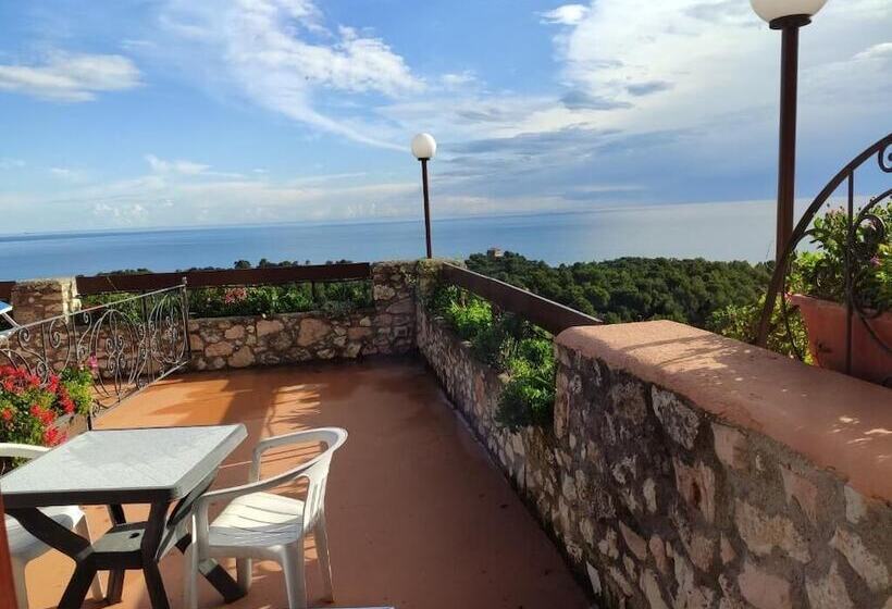 Chambre Supérieure, Internazionale