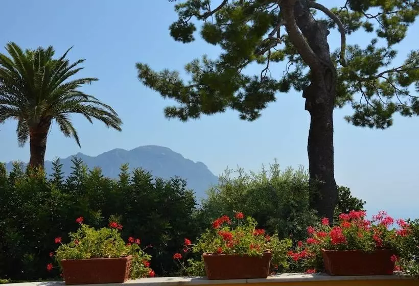 سوئیت رویال, Palazzo Confalone
