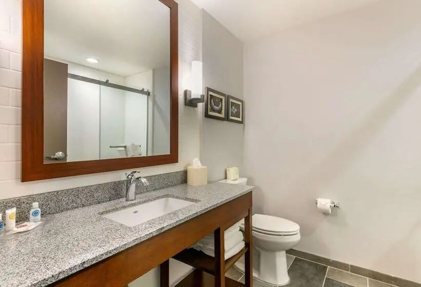 スイート, Comfort Suites North Tupelo