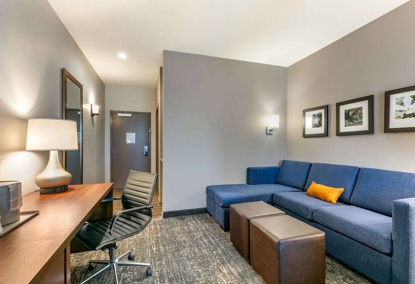 Люкс, Comfort Suites North Tupelo