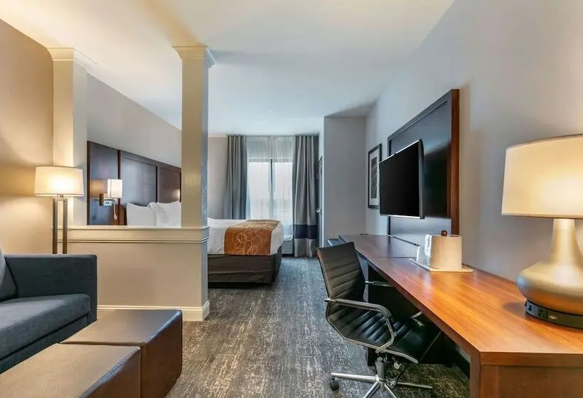 スイート, Comfort Suites North Tupelo