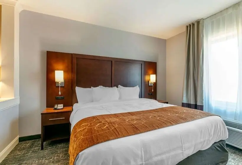 スイート, Comfort Suites North Tupelo