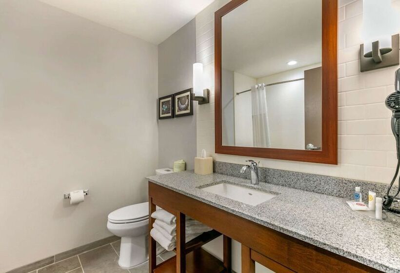Люкс, Comfort Suites North Tupelo