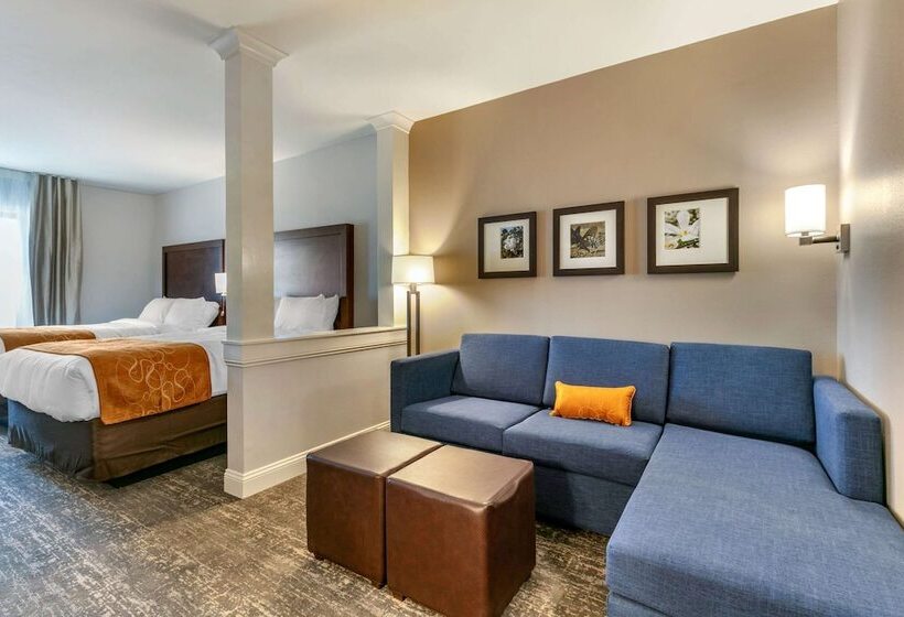 סוויטה, Comfort Suites North Tupelo