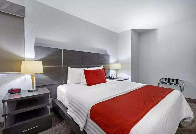 اتاق استاندارد, Comfort Inn Queretaro