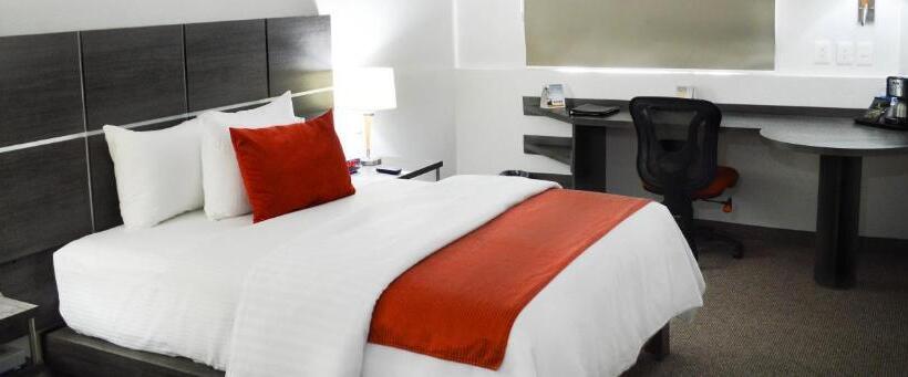 标准间, Comfort Inn Queretaro