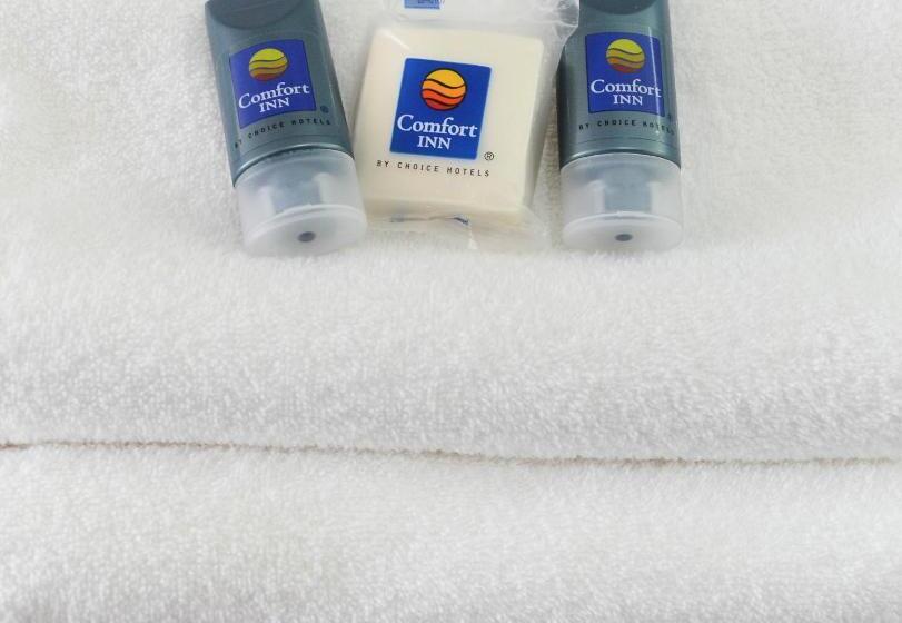 Номер Стандарт, Comfort Inn Queretaro