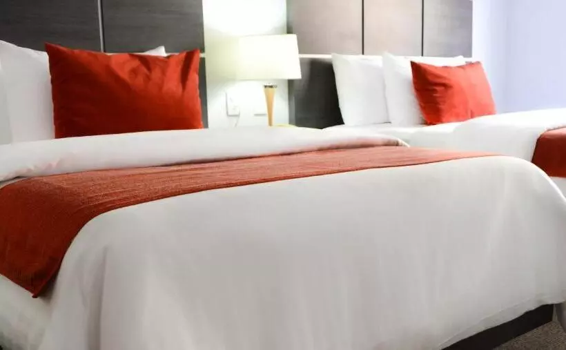 اتاق استاندارد با تخت بزرگ, Comfort Inn Queretaro
