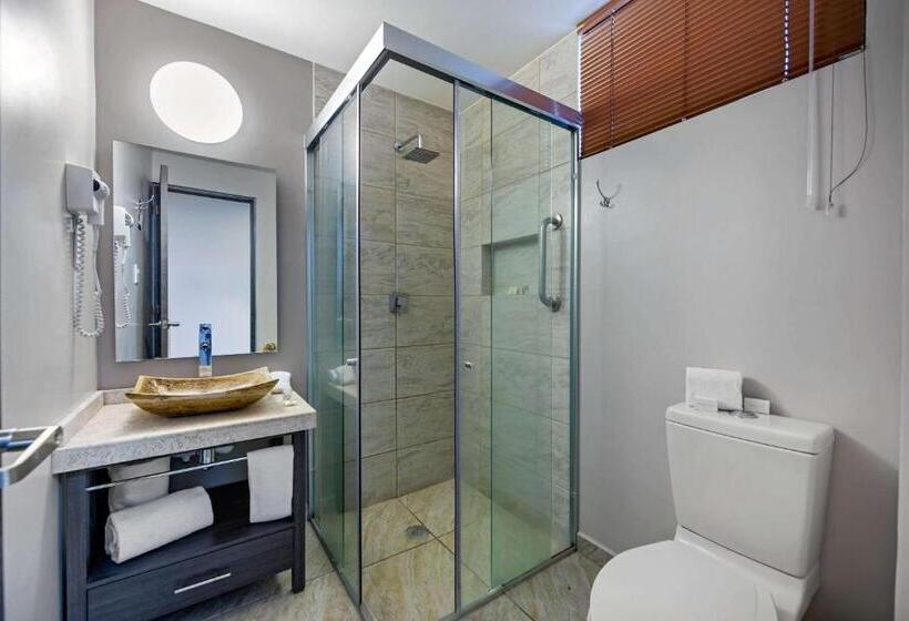 Стандартный Номер Кровать Кинг, Comfort Inn Queretaro