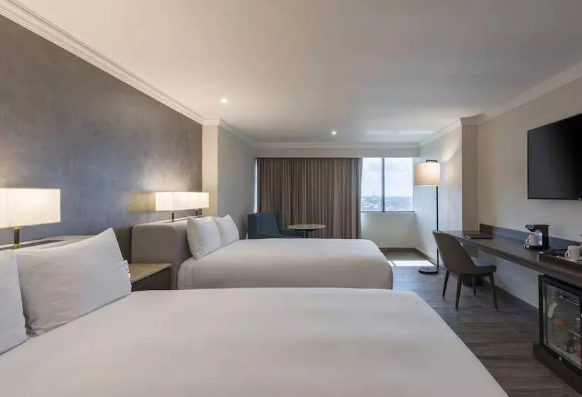 クラブルーム, Hyatt Regency Merida