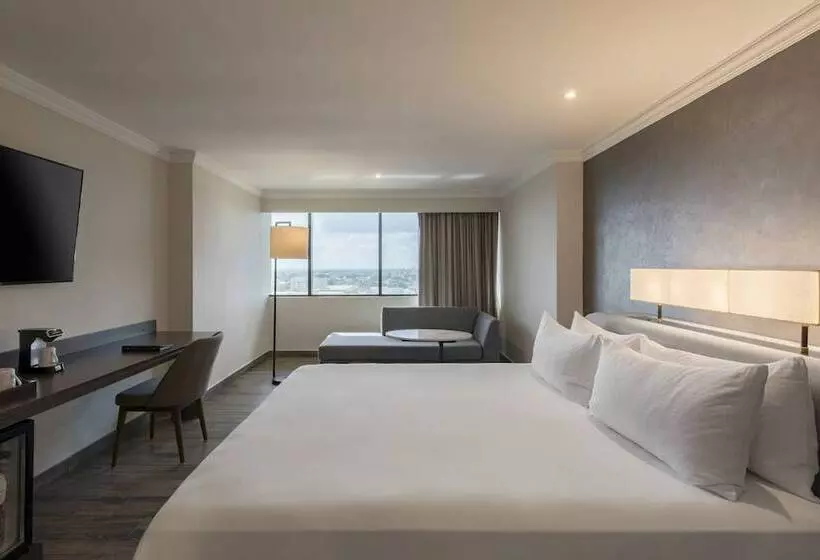 クラブルーム, Hyatt Regency Merida