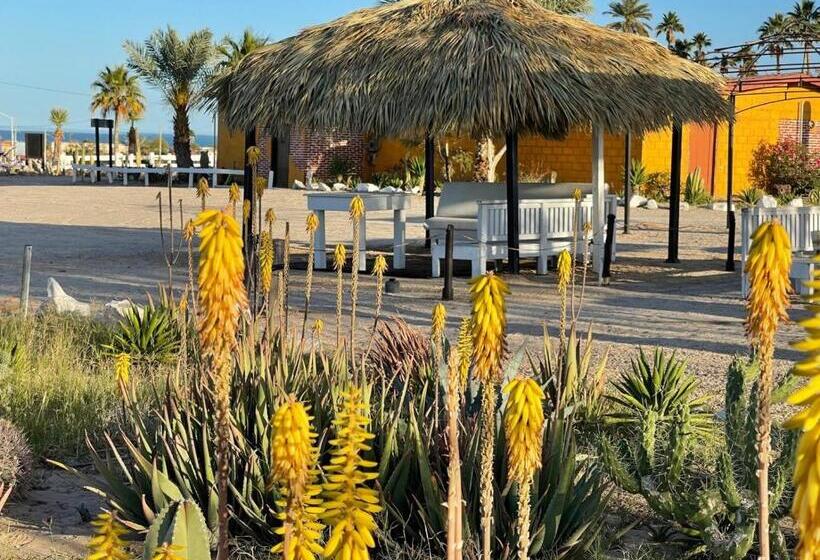 スタンダードトリプルルーム, Las Palmas