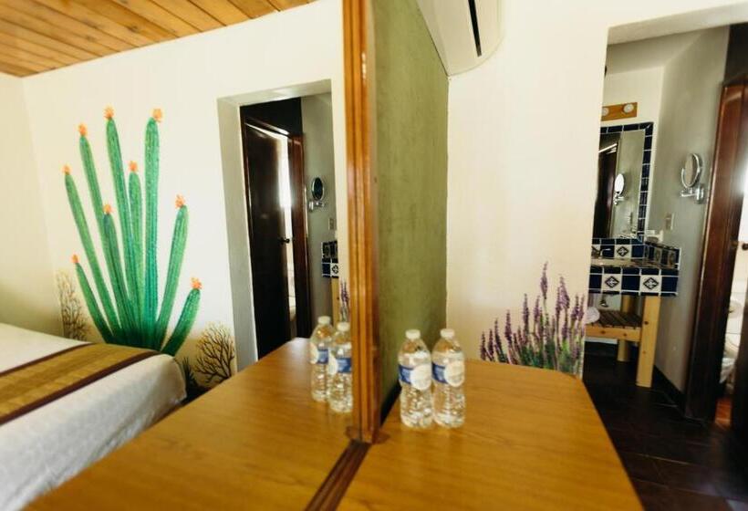 غرفة قياسية مطلّة علي البحر, Las Palmas