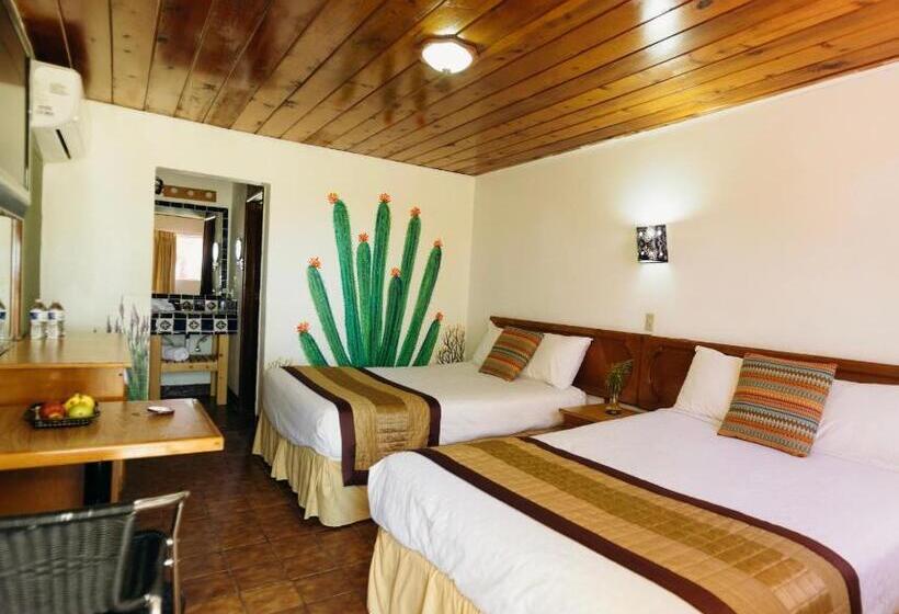 غرفة قياسية مطلّة علي البحر, Las Palmas