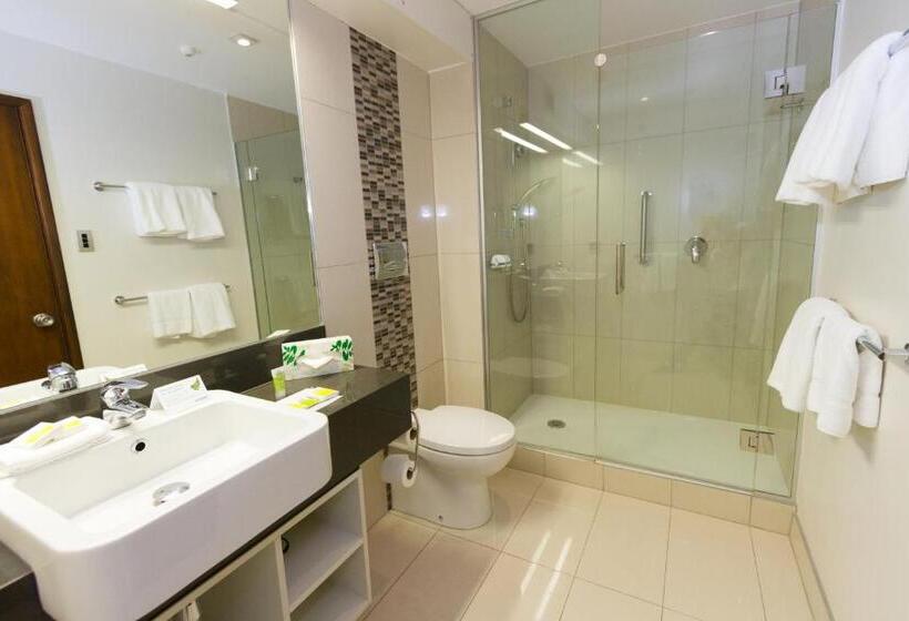 수피리어 스위트, Scenic Hotel Franz Josef Glacier