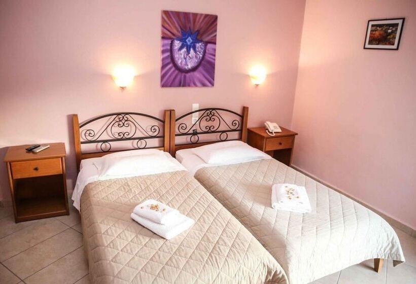 חדר סטנדרט, Anixis