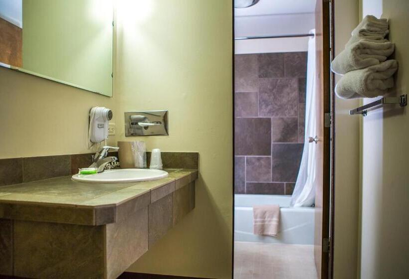 带大床的行政房间, The Stagecoach Inn