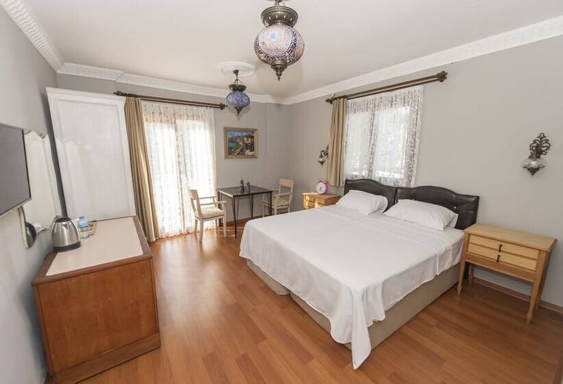 Deluxe Room Mountain View, Can Efes