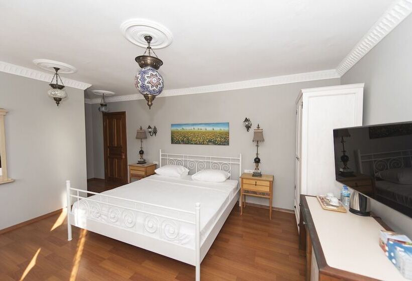 Habitació Deluxe Vista Muntanya, Can Efes