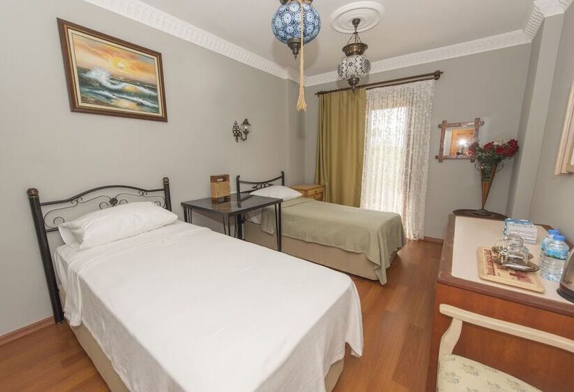 Deluxe Room Mountain View, Can Efes