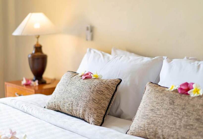 اتاق لوکس, Pemuntalan Guesthouse