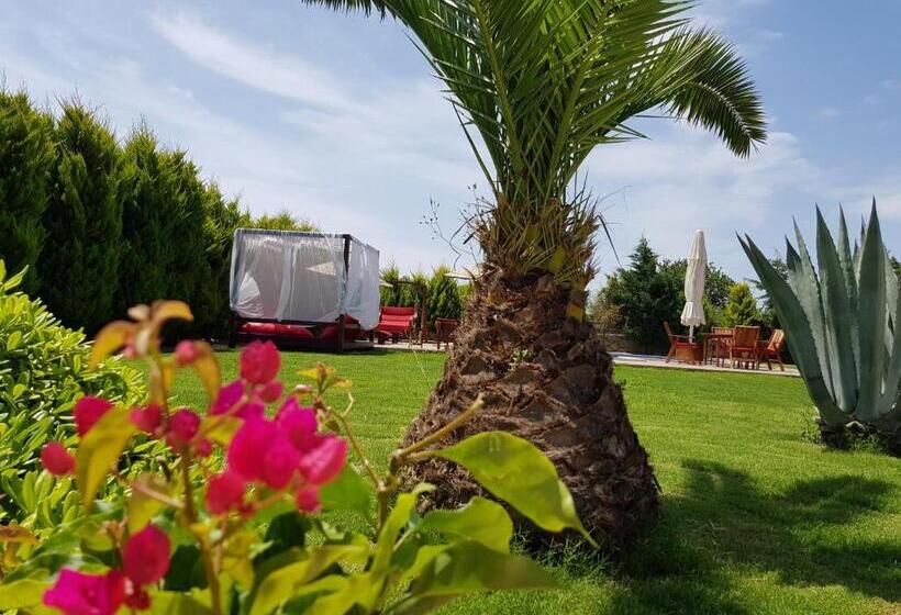 Perhehuone, Villa Kizlan Ova