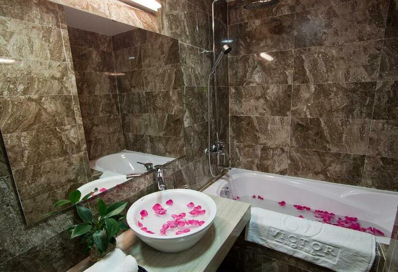 اتاق سوپریور, Victor Hanoi