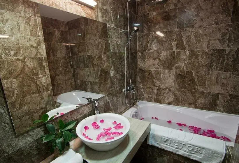 اتاق سوپریور, Victor Hanoi