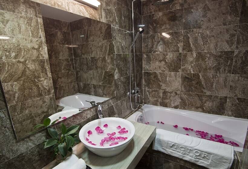 اتاق سوپریور, Victor Hanoi