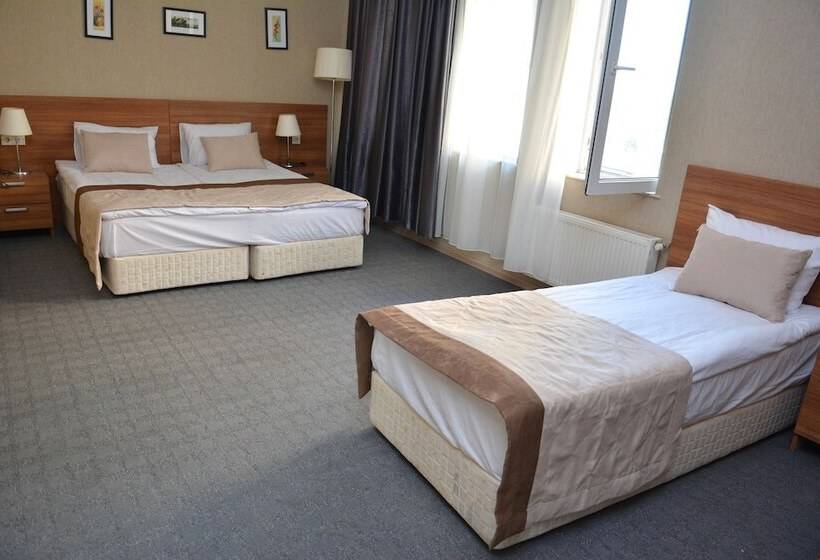 اتاق لوکس سه تخته, The Family