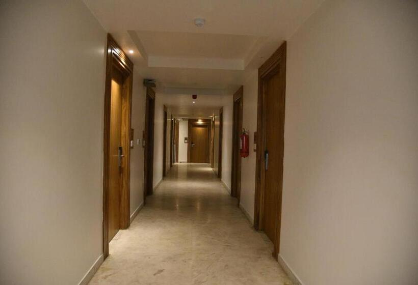 Deluxe Room, Vlm Grand Placid