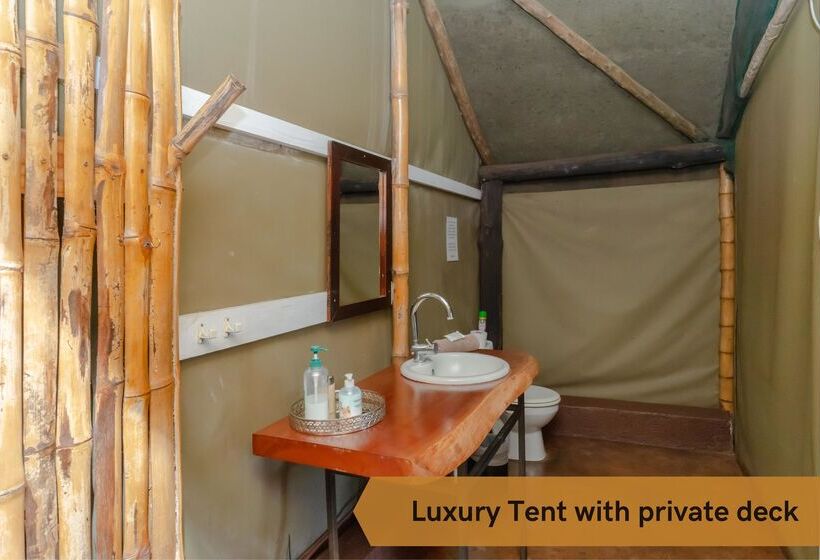 Deluxe Tent, Crocodile Bridge Safari Lodge