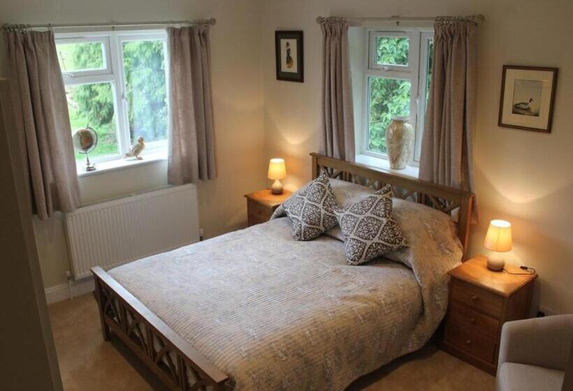 חדר סטנדרט עם מיטת קינג, Sunny Nest