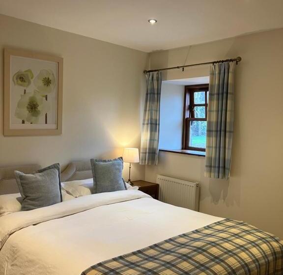 سوئیت با تخت بزرگ, The Courtyard