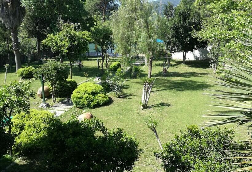 اتاق خانوادگی, Dervişhan Pansiyon