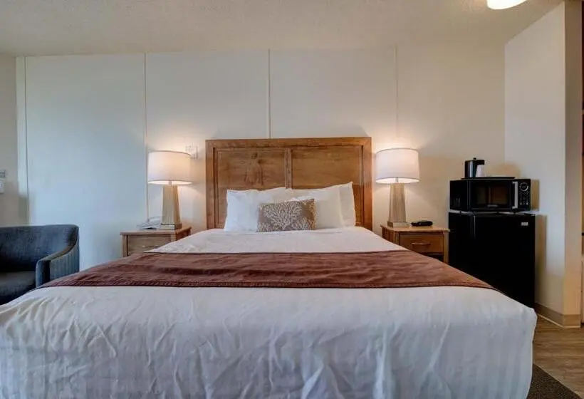 Standard-studio, Ester Lee Motel