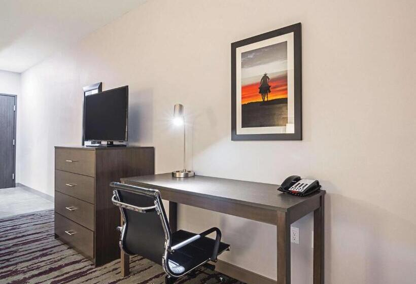 스탠다드 룸 킹사이즈 침대, La Quinta By Wyndham Dallas   Wylie