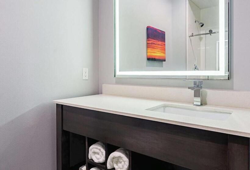 장애인을 위한 킹사이즈 침대 스탠다드 룸, La Quinta By Wyndham Dallas   Wylie