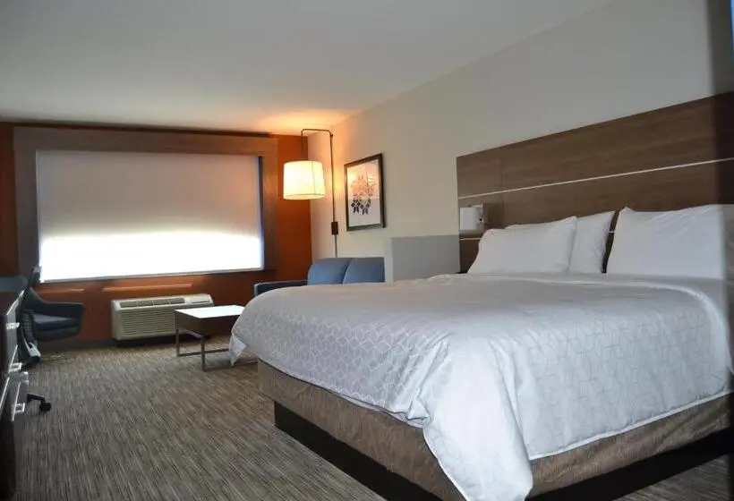 キングサイズベッドのスイートルーム, Holiday Inn Express & Suites Goodlettsville N   Nashville, An Ihg