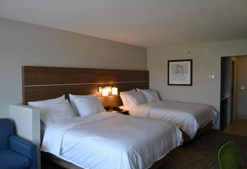 スイート, Holiday Inn Express & Suites Goodlettsville N   Nashville, An Ihg