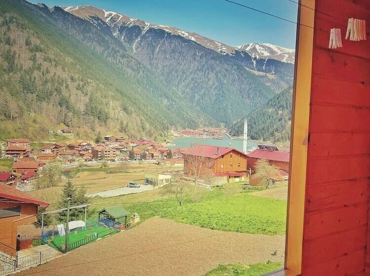 דירת קומפורט חדר שינה 1, Zeren Apart