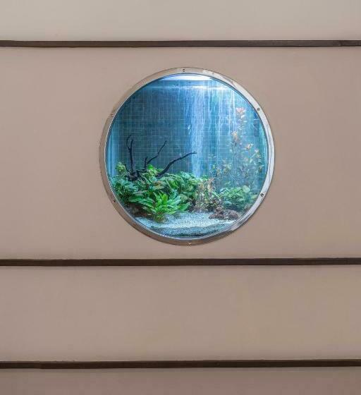 غرفة قياسية فردية, Terra Nostra Garden