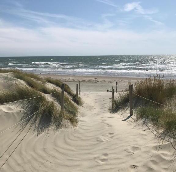 חדר סטנדרט, Linden House