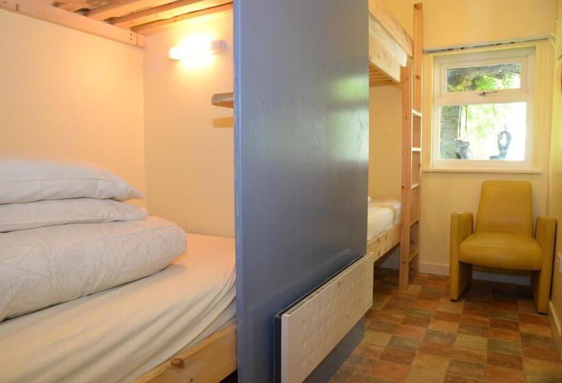 Кровать в Общей Комнате, Gallt Y Glyn Hostel