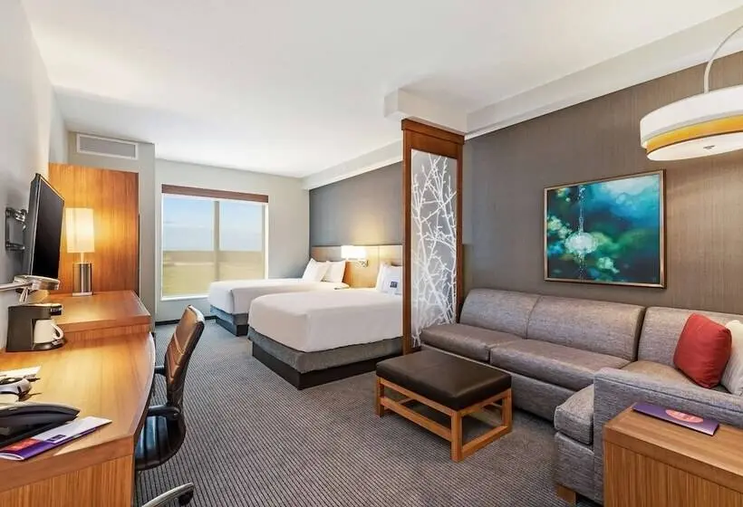 Standard-huone, Hyatt Place Tampa/wesley Chapel