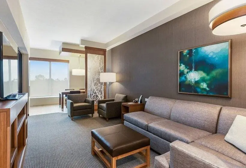 Sviitti Liikuntarajoitteisille, Hyatt Place Tampa/wesley Chapel