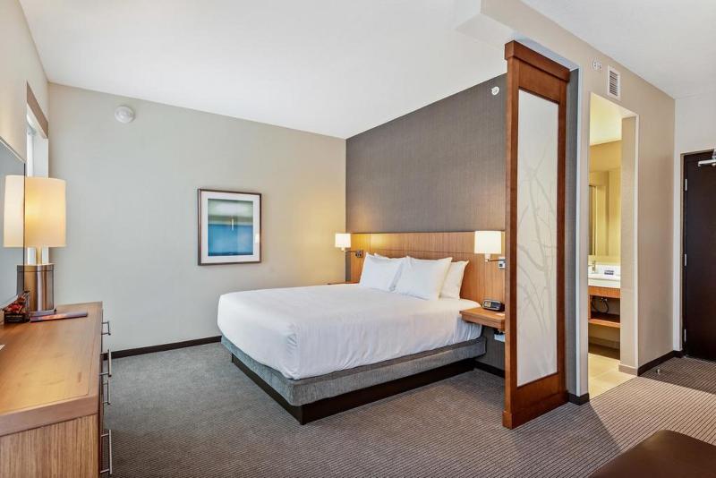 غرفة قياسية سرير كينج, Hyatt Place Tampa/wesley Chapel